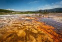 028 Yellowstone NP